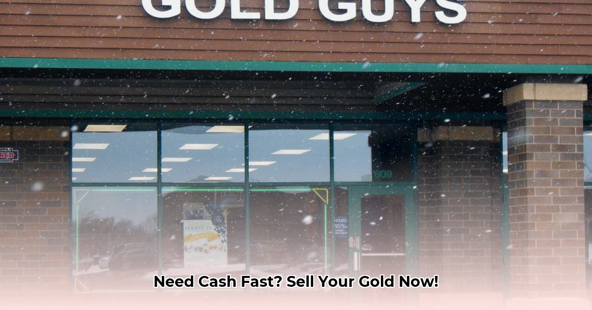 the-gold-guys-maple-grove